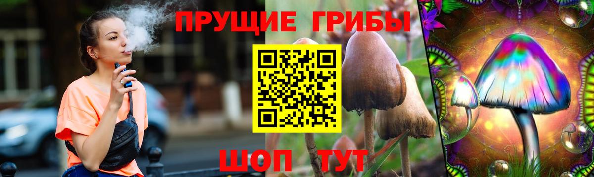 Галлюциногенные грибы мицелий Свободный